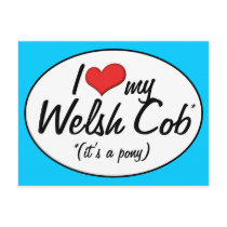 It's a Pony! I Love My Welsh Cob Postcards