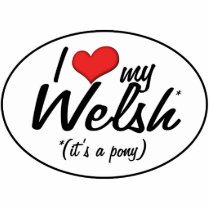 It's a Pony! I Love My Welsh Photo Sculpture