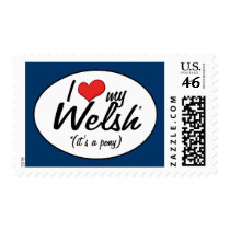 It's a Pony! I Love My Welsh Stamp