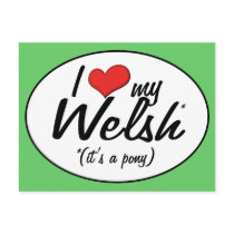 It's a Pony! I Love My Welsh Post Cards