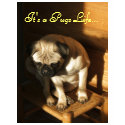 It's a Pugs Life... t-shirts by LWhtley It's a Pugs Life... t-shirts
