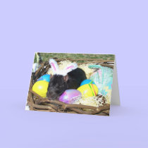It's A Rat's World Easter card2