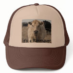 It's a Roundup! Cattle -  Western Novelty hats