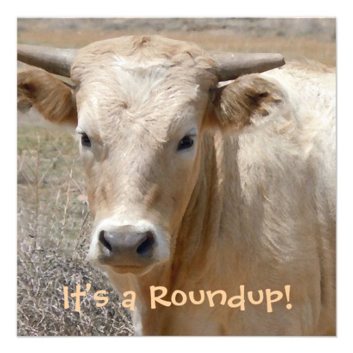 It's a Roundup! Cattle - Western Style Celebration Personalized Invites