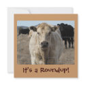 It's a Roundup! invitations