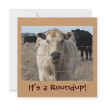 It's a Roundup! invitations
