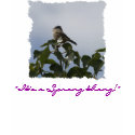"IT'S A SPRANG THANG!" Tops and Tees t-shirts by RavenSpiritPrints "IT'S A SPRANG THANG!" Tops and Tees t-shirts