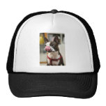 It's a Tongue! Trucker Hat