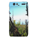 Its all about nature (group 2) motorola droid RAZR covers