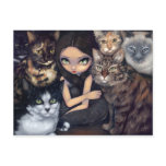 "It's All About the Cats" Postcard