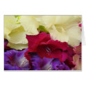 It's all Glads cards by ctg_foto It's all Glads cards