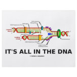 It's All In The DNA flyers