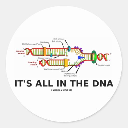 It's All In The DNA Round Stickers