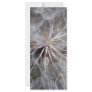 It's All In The Seed Custom Rack Cards