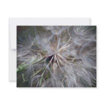 It's All In The Seed invitations by laureenr It's All In The Seed invitations