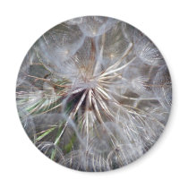 It's All In The Seed magnets by laureenr It's All In The Seed magnets