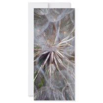 It's All In The Seed rack cards
