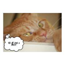 It's All Just a Blurr posters by Incatneato It's All Just a Blurr posters