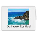 It's better here without you! cards