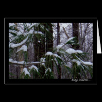 It's cold outside... cards by MarDar It's cold outside... cards