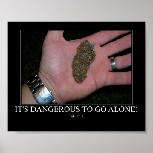 Its Dangerous To Go Alone Posters Zazzle 6245