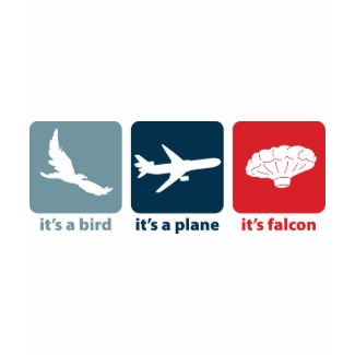 It's Falcon (the Balloon Boy)! shirt