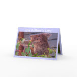 It's Father's Day Greeting Cards