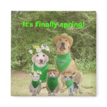 It's finally spring! refrigerator magnets