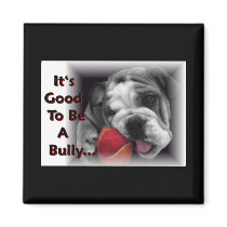 it's good to be a bully magnets