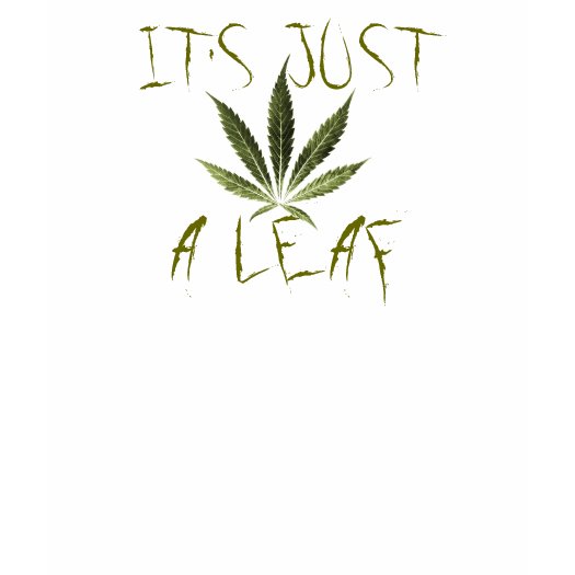 its_just_a_leaf_marijuana_tshirt-p235669359990944834t50w_525.jpg