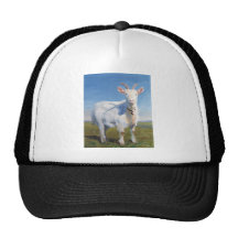 It's just me trucker hat