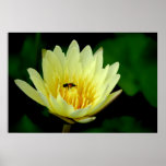 It's Mine Print