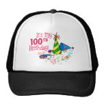 It's My 100th Birthday (Party Hats)