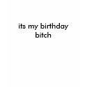 its my birthday bitch t-shirts