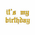 it's my birthday embroidered shirts