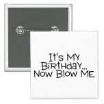 Its My Birthday Now Blow Me Pin