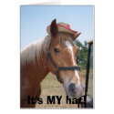 It's MY hat! cards