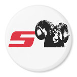 Its Not Pronounced Es-Ram Magnets