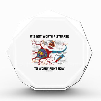 It's Not Worth A Synapse To Worry Right Now Acrylic Award
