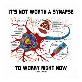 It's Not Worth A Synapse To Worry Right Now Neuron Print