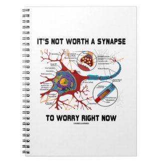 It's Not Worth A Synapse To Worry Right Now Journal