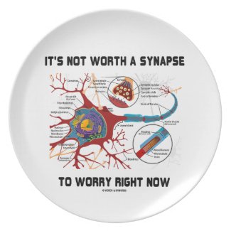 It's Not Worth A Synapse To Worry Right Now Plate
