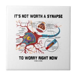 It's Not Worth A Synapse To Worry Right Now Ceramic Tile