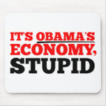 It's Obama's Economy Stupid. Mouse Pads