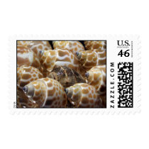 Its OK to be Different Stamp by MidnightAkita Its OK to be Different Stamp