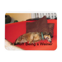 it's ruff being a weiner magnet