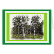 It's Spring! Blank cards