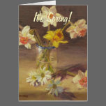 It's Spring! cards