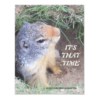 groundhog day length groundhog day invitations announcements zazzle groundhog day length groundhog day invitations announcements zazzle