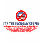 It's the Economy Stupid... t-shirts